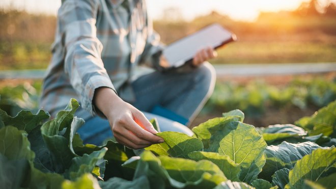 Smart agriculture